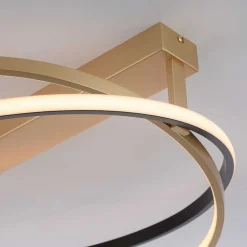 Plafonnier Paul Neuhaus Q-Beluga Led Or, 1 Lumiere, Telecommandes