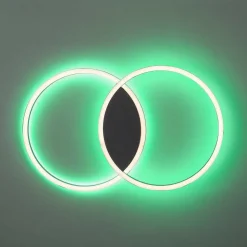 Plafonnier Paul Neuhaus Q-Marko Led Noir, 1 Lumiere, Telecommandes, Changeur De Couleurs