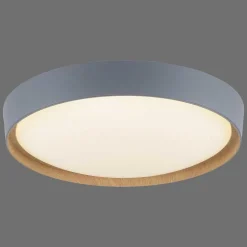 Plafonnier Paul Neuhaus Q-Emilia Led Gris, Couleur Bois, 1 Lumiere, Telecommandes