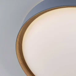 Plafonnier Paul Neuhaus Q-Emilia Led Gris, Couleur Bois, 1 Lumiere, Telecommandes