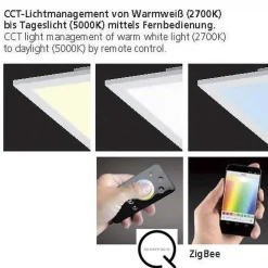 Plafonnier Paul Neuhaus Q-Flag Led Blanc, 1 Lumiere, Telecommandes