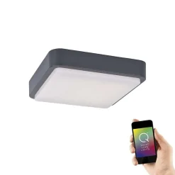 Plafonnier Paul Neuhaus Q-Lenny Led Anthracite, 1 Lumiere, Telecommandes, Changeur De Couleurs