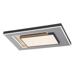 Plafonnier Paul-Neuhaus Q-Alta Led Noir, 1 Lumiere, Telecommandes