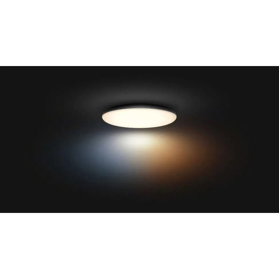 Plafonnier Philips Hue Cher Led Noir, 1 Lumiere, Telecommandes
