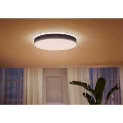 Plafonnier Philips Hue Enrave Led Noir, 1 Lumiere, Telecommandes