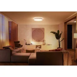 Plafonnier Philips Hue Enrave Led Blanc, 1 Lumiere, Telecommandes