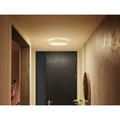 Plafonnier Philips Hue Enrave Led Blanc, 1 Lumiere, Telecommandes