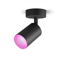 Plafonnier Philips Hue Fugato Led Noir, 1 Lumiere, Changeur De Couleurs