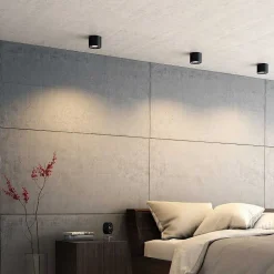 Plafonnier Philips Phase Led Noir, 1 Lumiere