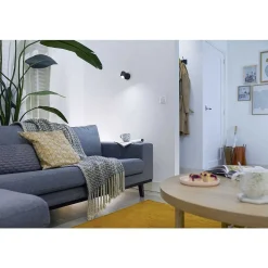 Plafonnier Philips Wiz Imageo Led Noir, 1 Lumiere, Changeur De Couleurs