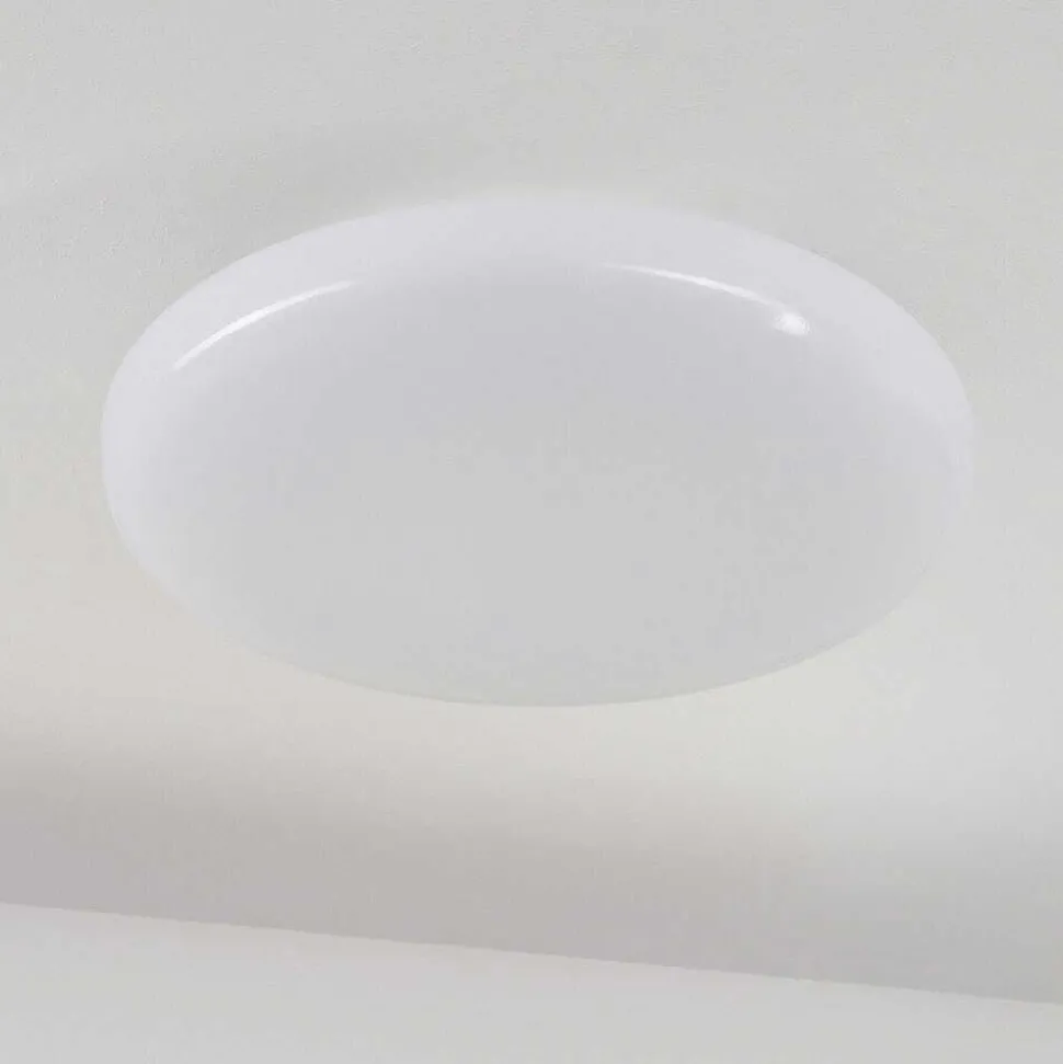 Plafonnier Ral Led Argente, Blanc, 1 Lumiere, Telecommandes, Changeur De Couleurs