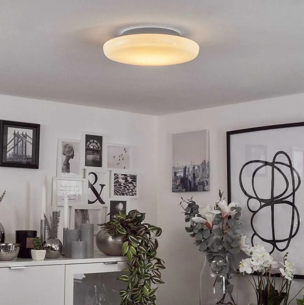 Plafonnier Ral Led Argente, Blanc, 1 Lumiere, Telecommandes, Changeur De Couleurs