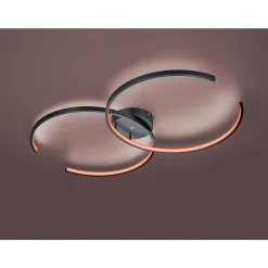 Plafonnier Trio Leuchten Wiz Citizen Led Noir, 2 Lumieres, Telecommandes, Changeur De Couleurs