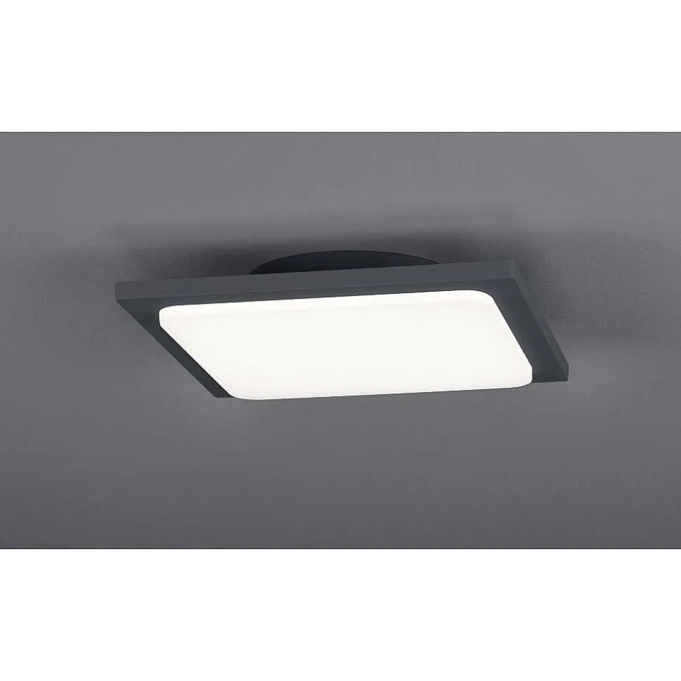 Plafonnier Trio Trave Led Anthracite, 1 Lumiere
