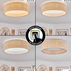 Plafonnier Wynona Led Blanc, 1 Lumiere