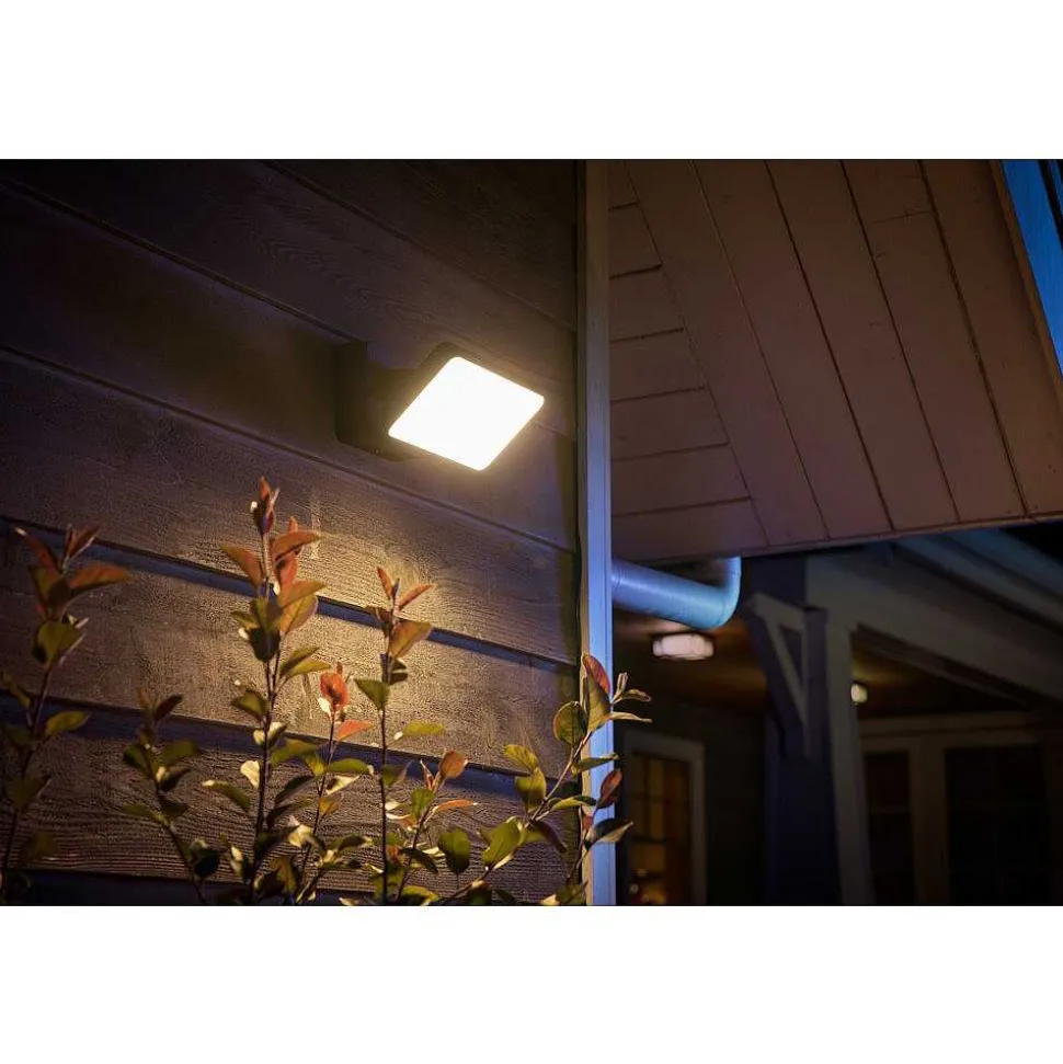 Projecteur Philips Hue Ambiance White & Color Discover Led Noir, 1 Lumiere, Changeur De Couleurs