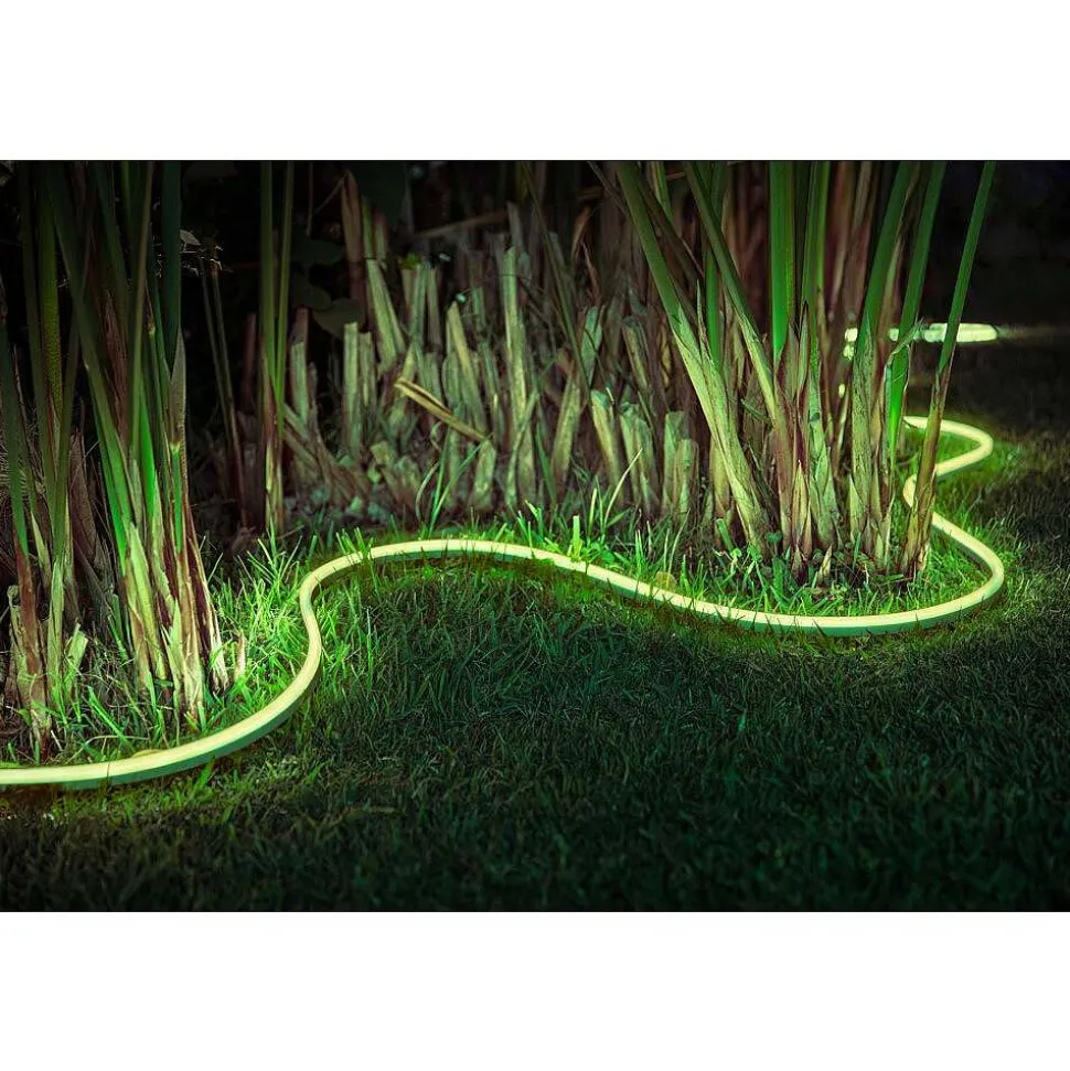 Ruban Lumineux Exterieur Philips Hue Ambiance White & Color Led Blanc, 1 Lumiere