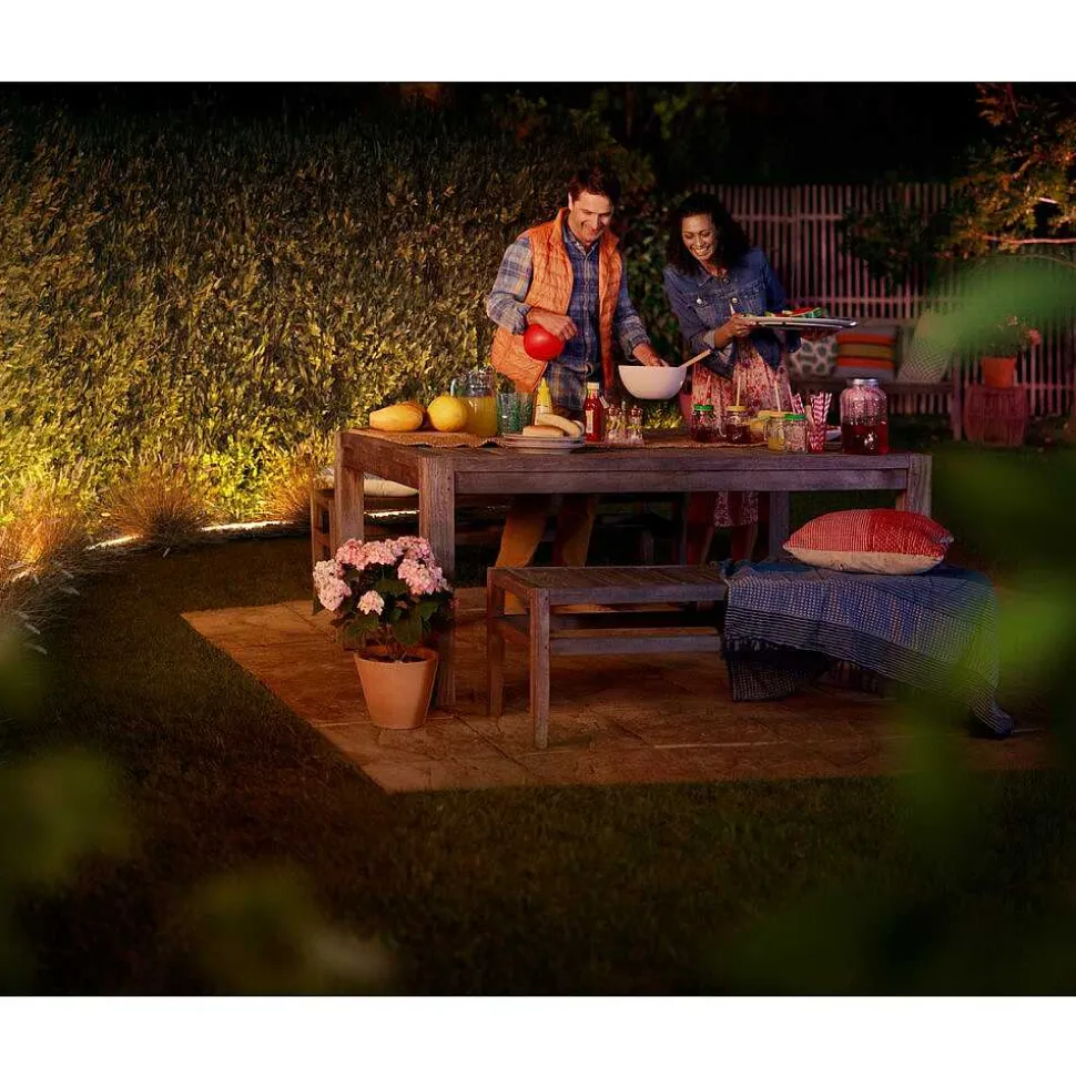 Ruban Lumineux Exterieur Philips Hue Ambiance White & Color Led Blanc, 1 Lumiere