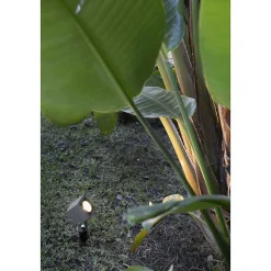 Spot De Jardin Faro Sobek Led Noir, 1 Lumiere