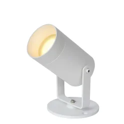 Spot De Jardin Lucide Taylor Blanc, 1 Lumiere, Detecteur De Mouvement
