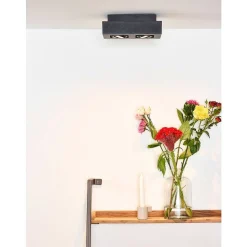 Spot De Plafond Lucide Xirax Led Noir, 2 Lumieres