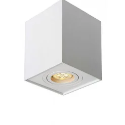 Spot Lucide Tube Blanc, 1 Lumiere