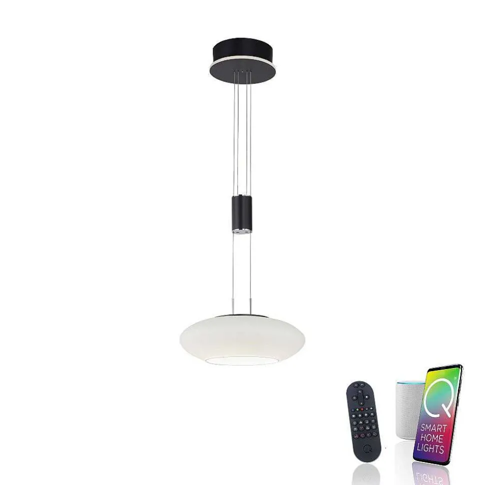 Suspension Paul Neuhaus Q-Etienne Led Noir, 1 Lumiere, Telecommandes