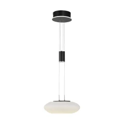 Suspension Paul Neuhaus Q-Etienne Led Noir, 1 Lumiere, Telecommandes