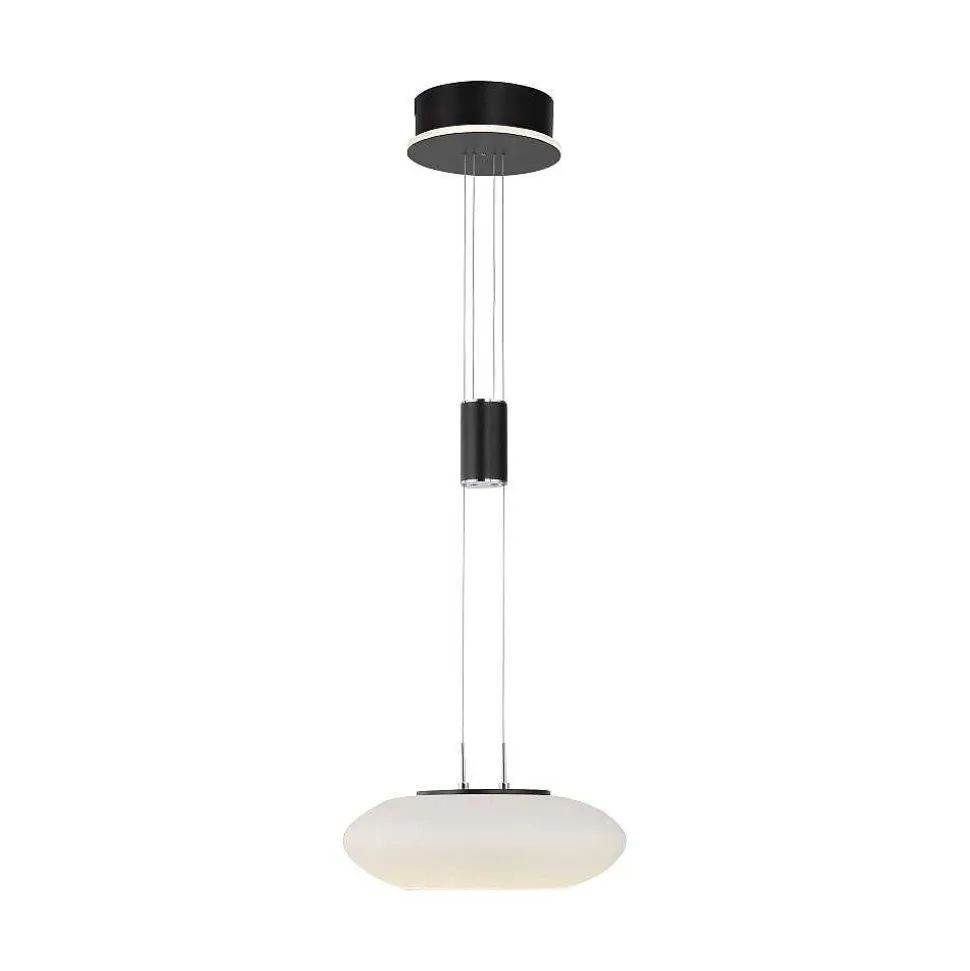 Suspension Paul Neuhaus Q-Etienne Led Noir, 1 Lumiere, Telecommandes