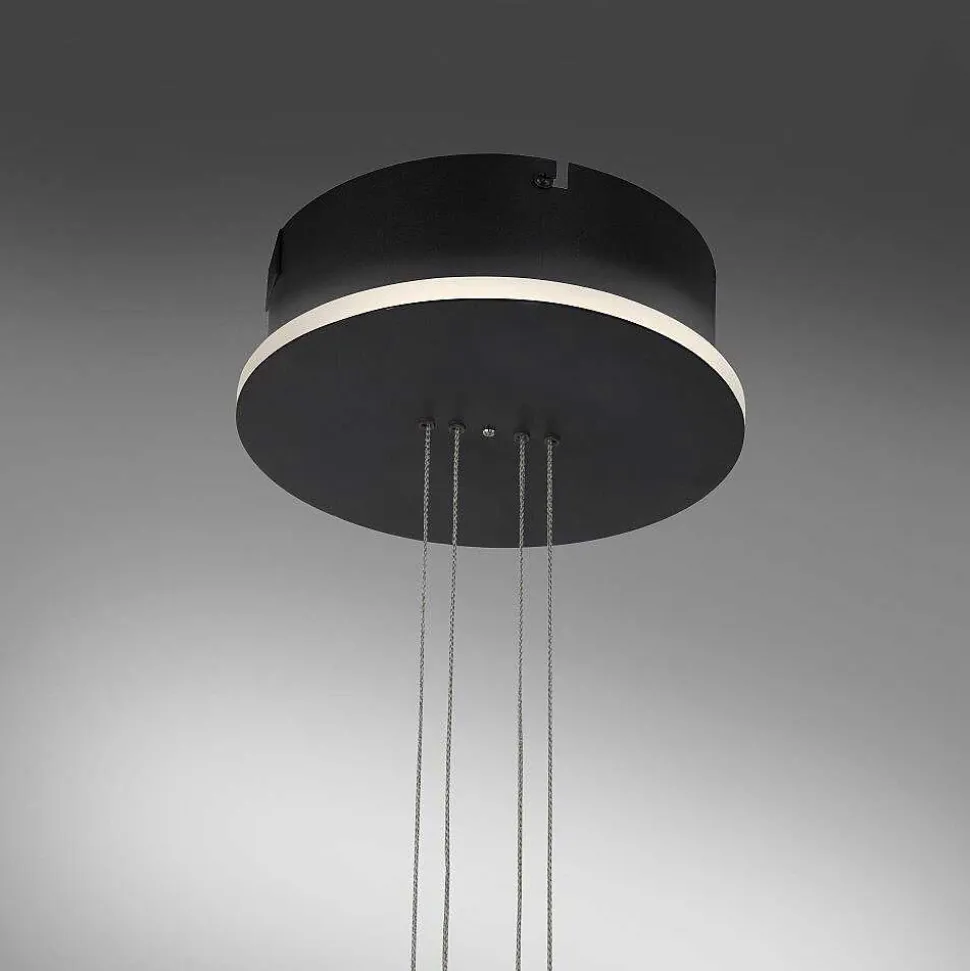 Suspension Paul Neuhaus Q-Etienne Led Noir, 1 Lumiere, Telecommandes