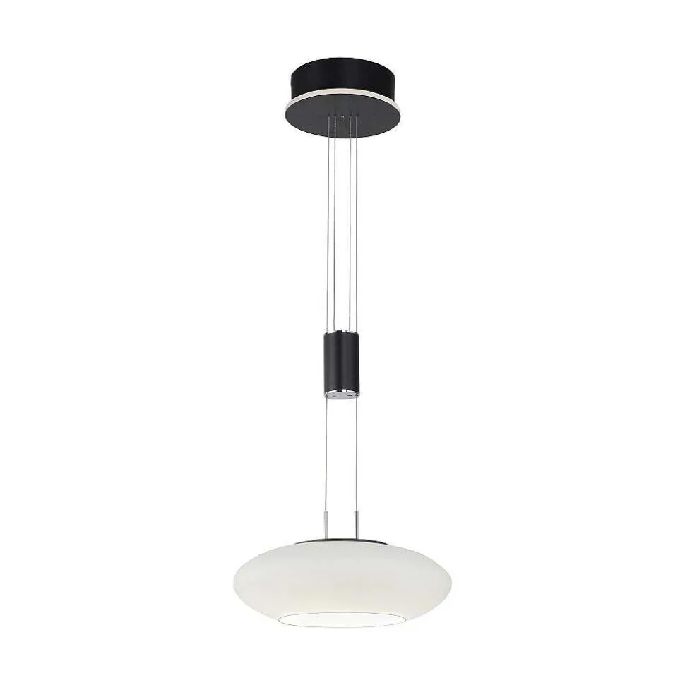 Suspension Paul Neuhaus Q-Etienne Led Noir, 1 Lumiere, Telecommandes