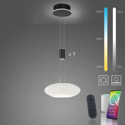 Suspension Paul Neuhaus Q-Etienne Led Noir, 1 Lumiere, Telecommandes