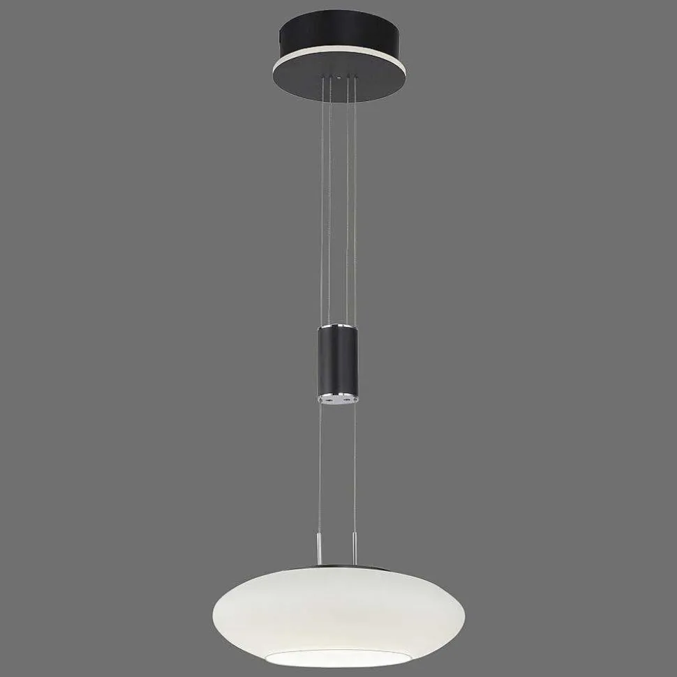 Suspension Paul Neuhaus Q-Etienne Led Noir, 1 Lumiere, Telecommandes