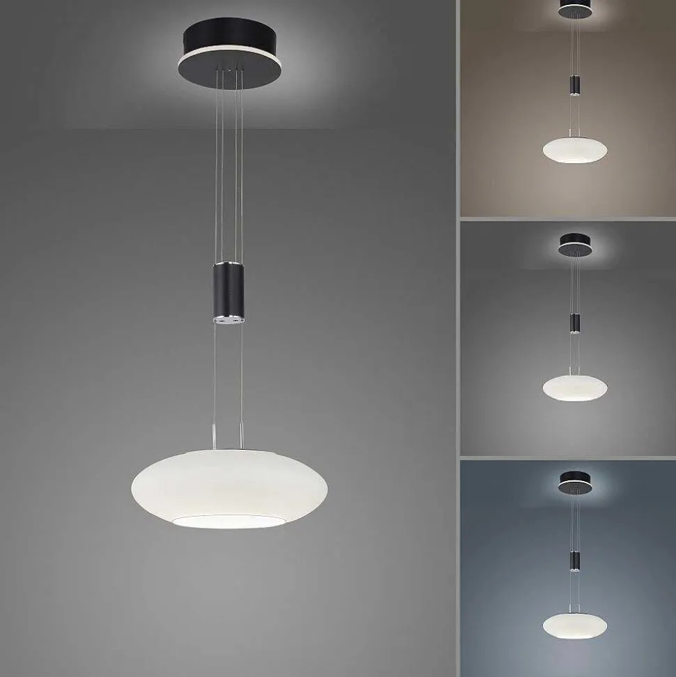 Suspension Paul Neuhaus Q-Etienne Led Noir, 1 Lumiere, Telecommandes