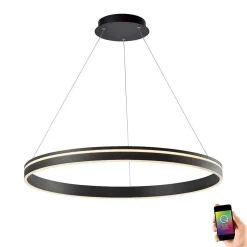 Suspension Paul Neuhaus Q-Vito Led Anthracite, 1 Lumiere, Telecommandes