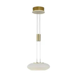 Suspension Paul Neuhaus Q-Etienne Led Laiton, 1 Lumiere, Telecommandes