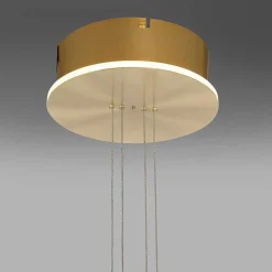 Suspension Paul Neuhaus Q-Etienne Led Laiton, 1 Lumiere, Telecommandes