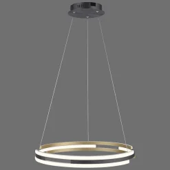 Suspension Paul Neuhaus Q-Beluga Led Or, 1 Lumiere, Telecommandes