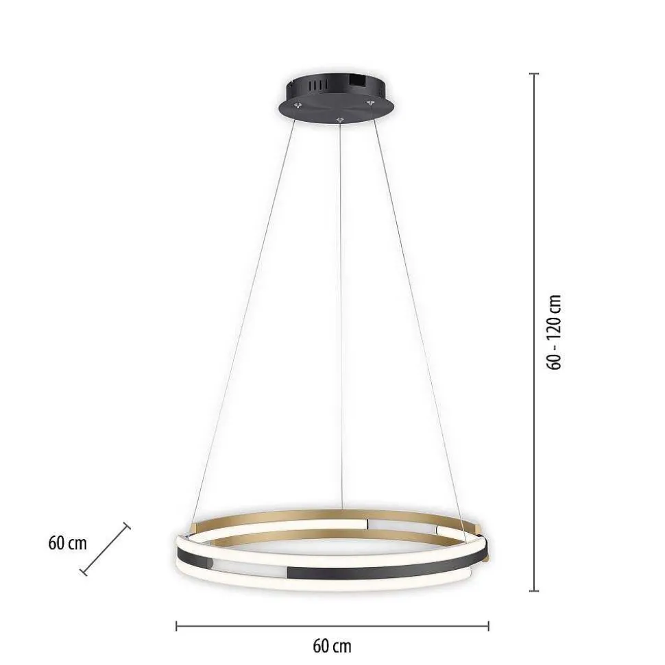 Suspension Paul Neuhaus Q-Beluga Led Or, 1 Lumiere, Telecommandes