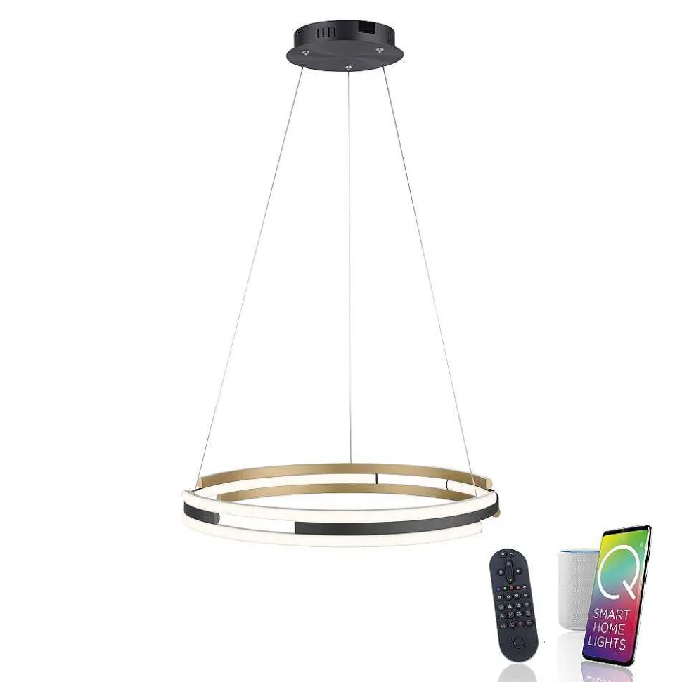 Suspension Paul Neuhaus Q-Beluga Led Or, 1 Lumiere, Telecommandes