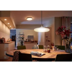 Suspension Philips Hue Cher Led Blanc, 1 Lumiere, Telecommandes