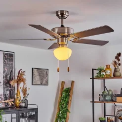 Ventilateur De Plafond Apiao Brun, Couleur Bois, Argente, 1 Lumiere