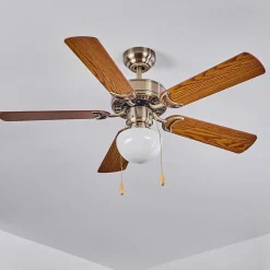 Ventilateur De Plafond Apiao Brun, Brun Clair, Couleur Bois, Argente, 1 Lumiere