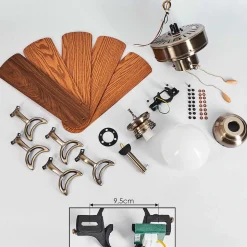 Ventilateur De Plafond Apiao Brun, Brun Clair, Couleur Bois, Argente, 1 Lumiere