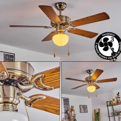Ventilateur De Plafond Apiao Brun, Brun Clair, Couleur Bois, Argente, 1 Lumiere