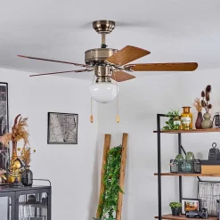 Ventilateur De Plafond Apiao Brun, Brun Clair, Couleur Bois, Argente, 1 Lumiere