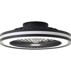 Ventilateur De Plafond Brilliant Palmero Noir, 1 Lumiere, Telecommandes, Changeur De Couleurs