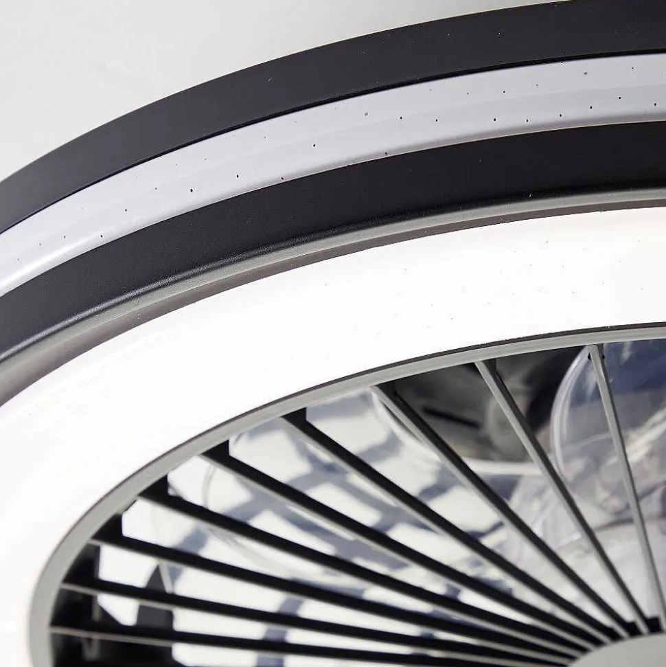 Ventilateur De Plafond Brilliant Palmero Noir, 1 Lumiere, Telecommandes, Changeur De Couleurs