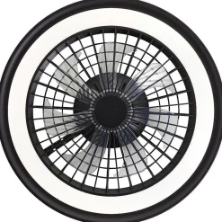 Ventilateur De Plafond Brilliant Palmero Noir, 1 Lumiere, Telecommandes, Changeur De Couleurs