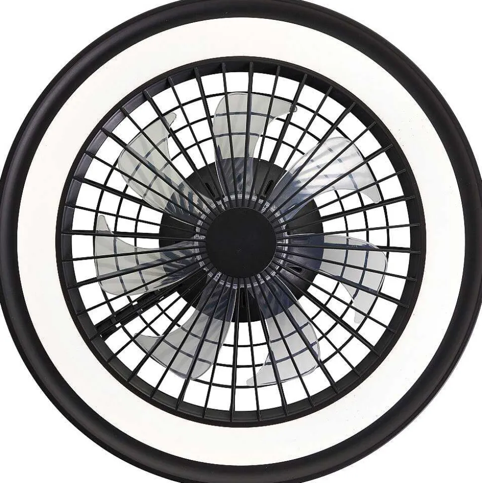 Ventilateur De Plafond Brilliant Palmero Noir, 1 Lumiere, Telecommandes, Changeur De Couleurs